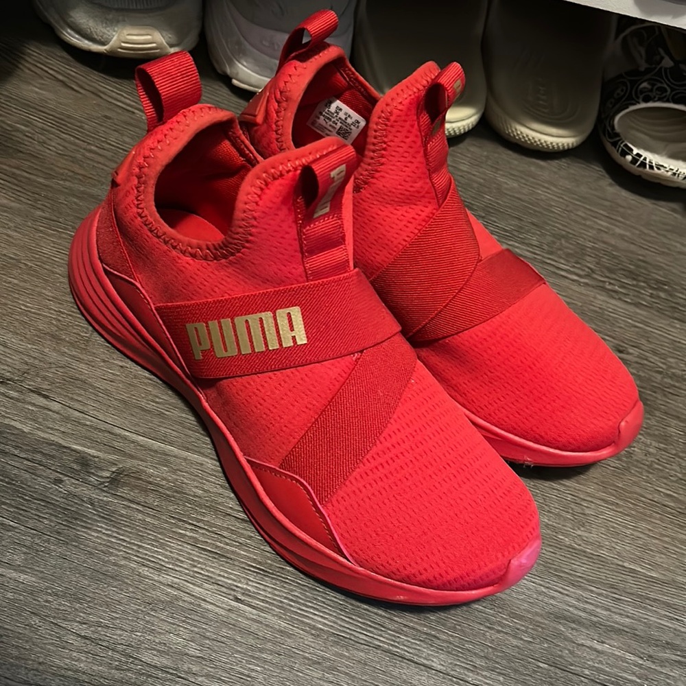 Red pumas